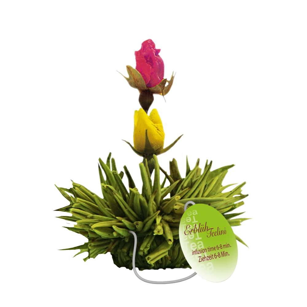 Creano Teeblumen im Tassenformat "ErblühTeelini" - 8 Teeblüten in 4 verschiedenen Sorten (Grüner Tee)