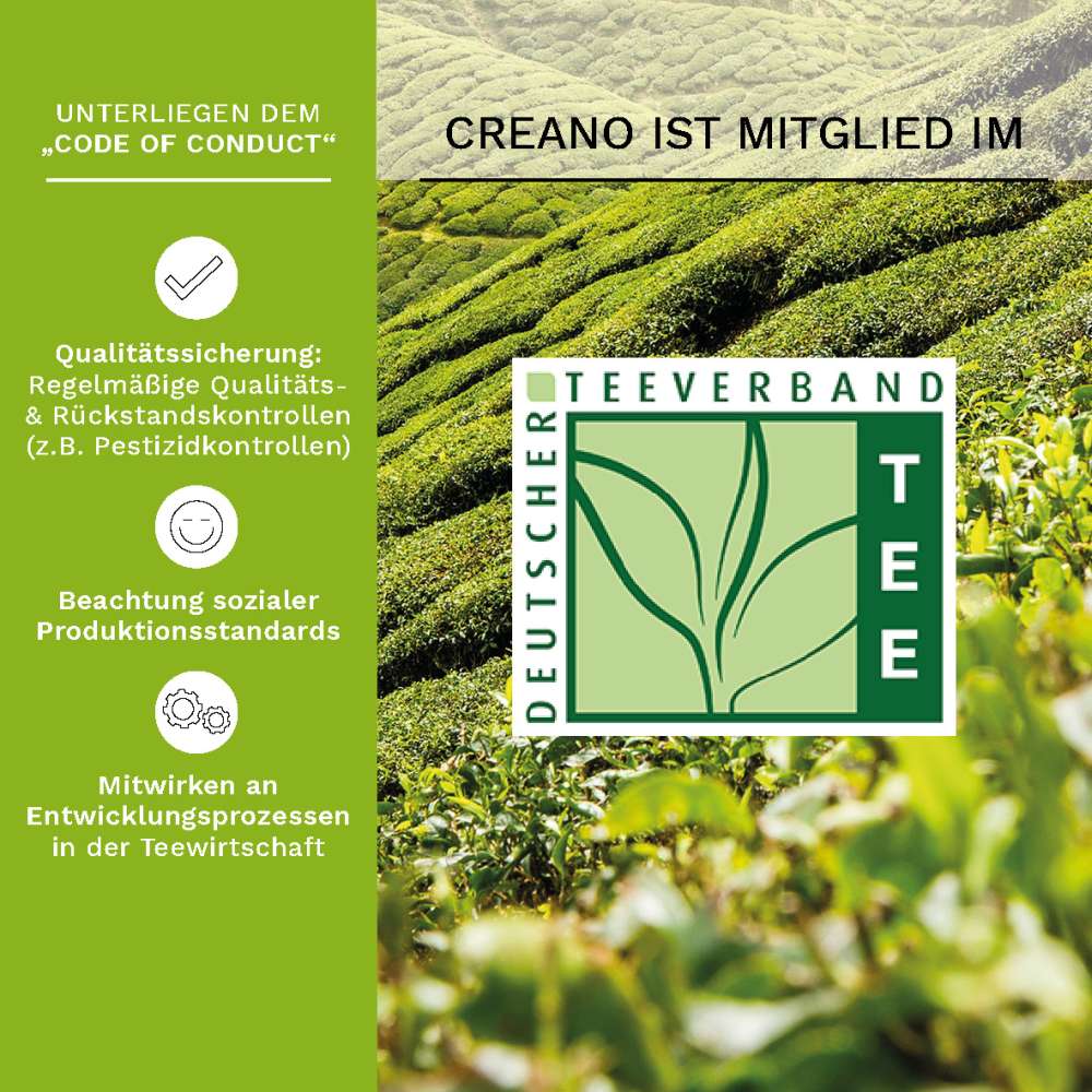6er Set ErblühTee "Grüner-Tee" in Herz-Holzbox + 500ml Teekanne - Creano