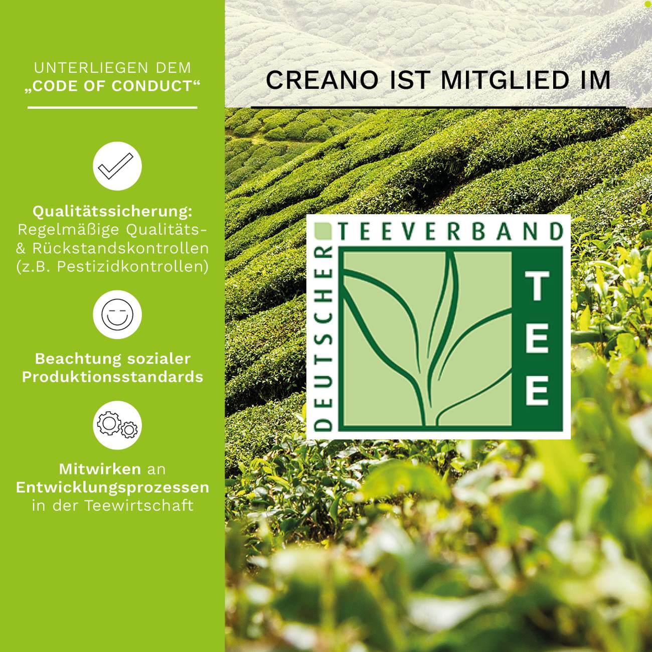 Creano ErblühTeelini Teeblumen Geschenkset mit Teeglas und 8 Teeblumen im Tassenformat, grüner Tee, Geschenk - Creano