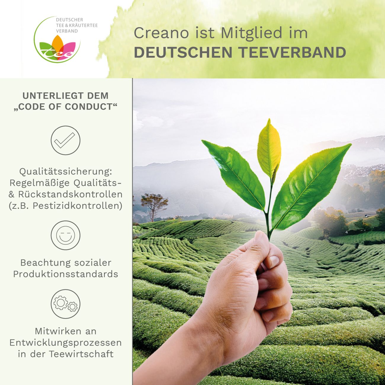 Neues Design: Teeblumen-Geschenkset mit Glaskanne & Früchtetee - Creano
