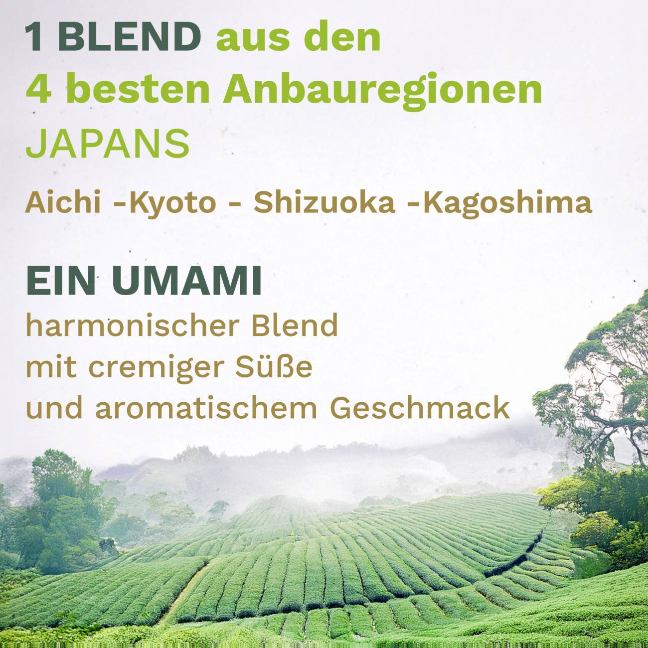 Creano Bio 50g Matcha Tee Ceremonial – Exklusiver Blend aus Japan *⁵ - Creano