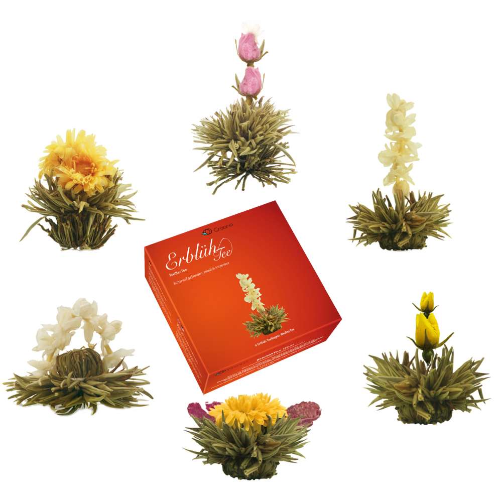 Creano Teeblumen Mix – „ErblühTee“ in edler Geschenkbox zum Probieren | Weißtee (6 verschiedene Sorten Teerosen) Geschenk für Frauen, Mutter, Teeliebhaber