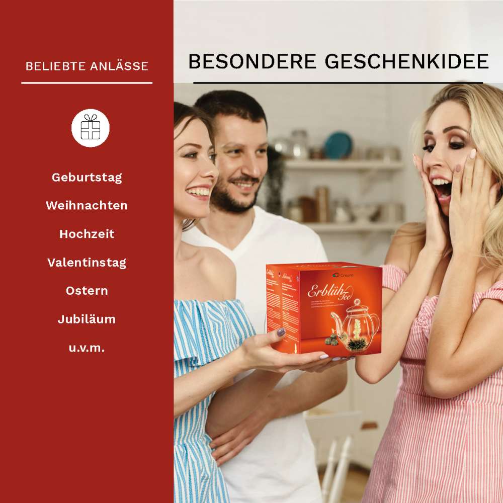 Creano Teeblumen Mix - Geschenkset "ErblühTee" mit Glaskanne Weißtee (6 verschiedene Sorten)