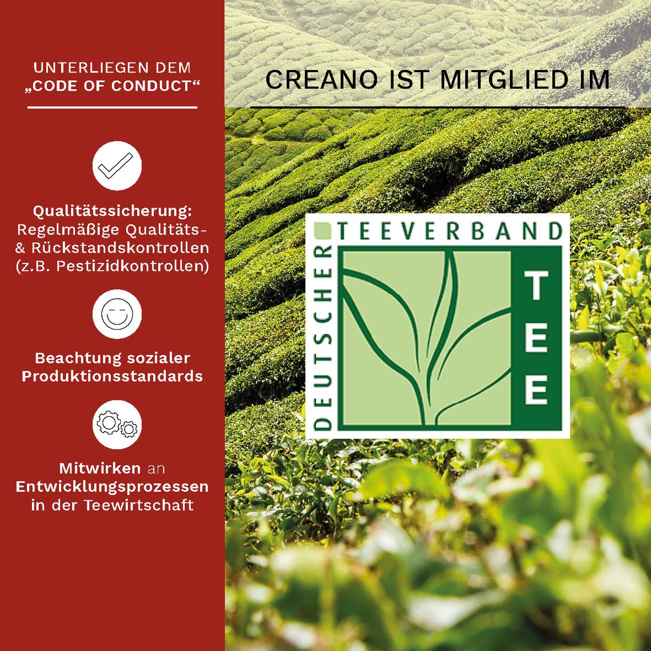Creano Doppelwandiges Thermoglas "hoch" XXL, Extra Großes Hitzebeständiges Kaffeeglas / Teeglas | 400ml inkl. einer Teeblume - Creano