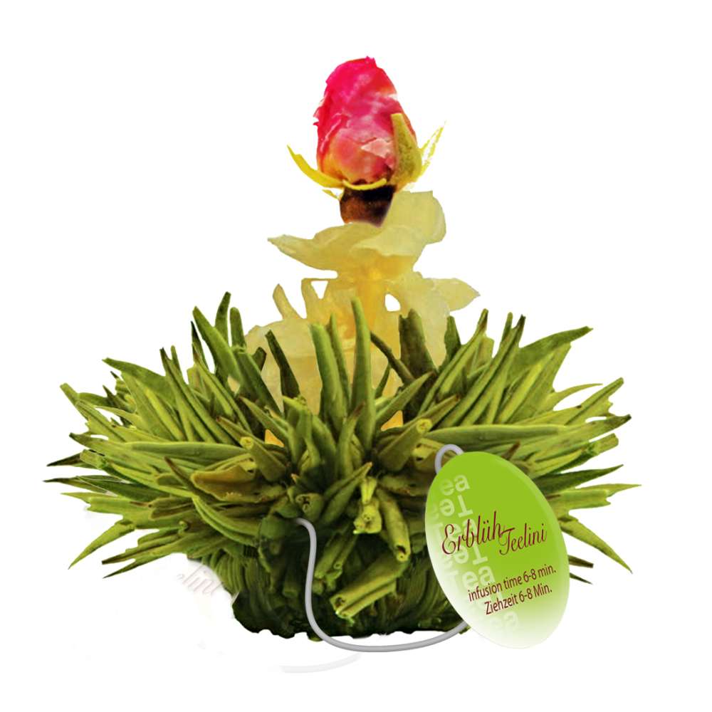 Creano Teeblumen im Tassenformat "ErblühTeelini" - 8 Teeblüten in 4 verschiedenen Sorten (Grüner Tee)
