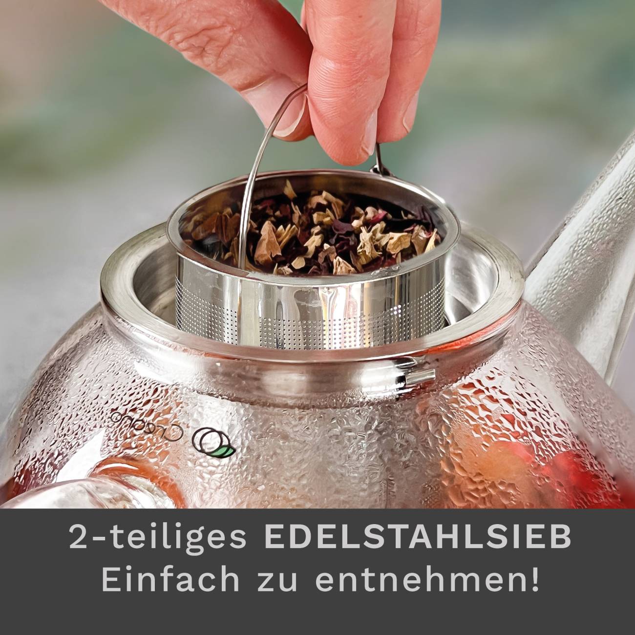 Creano Glas Teekanne "flach" | 1,6L - Creano