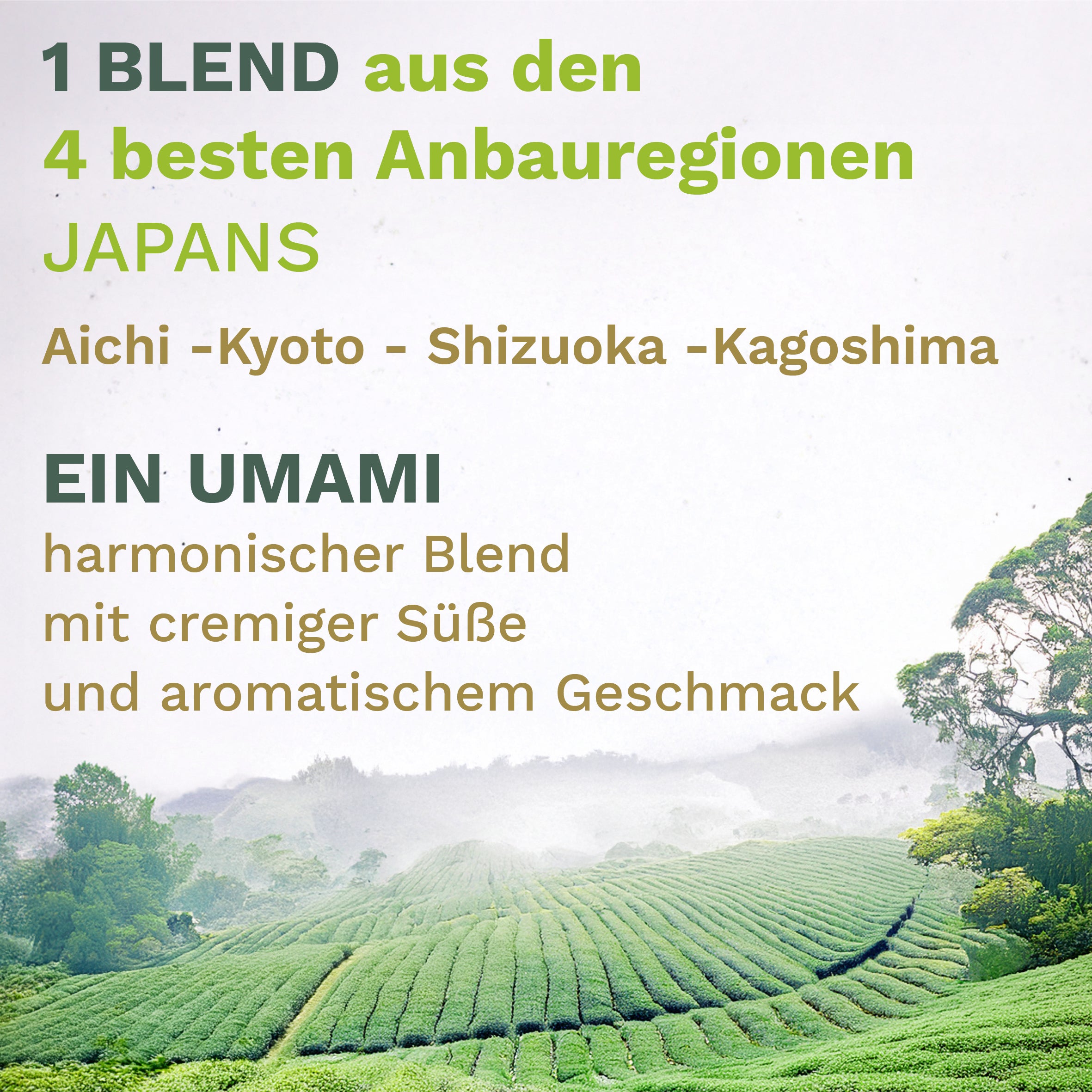 Creano Bio 30g Matcha Tee Ceremonial – Exklusiver Blend aus Japan *⁵