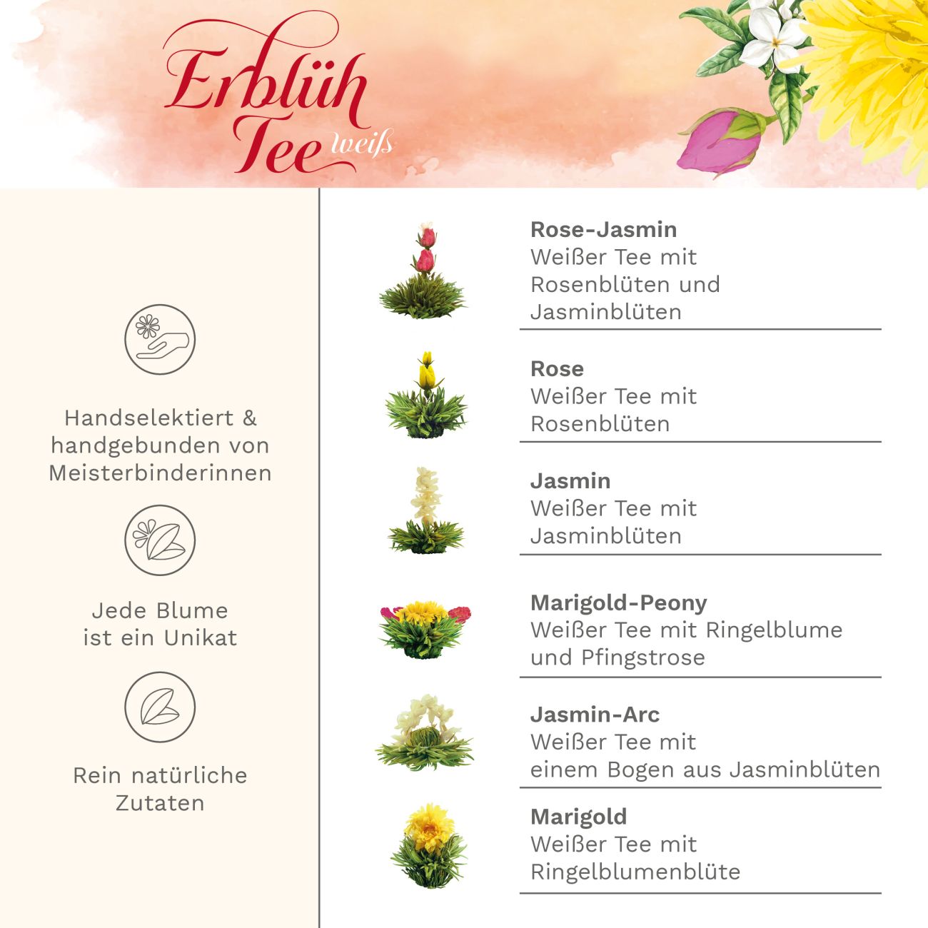 Neues Design: Teeblumen-Set Glaskanne & Weißer Tee - Creano