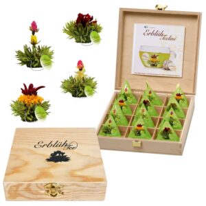 Creano Teelini Teeblumen im Tassenformat, Geschenkset in Teekiste, 12 ErblühTeelini in 4 Sorten, Grüner Tee