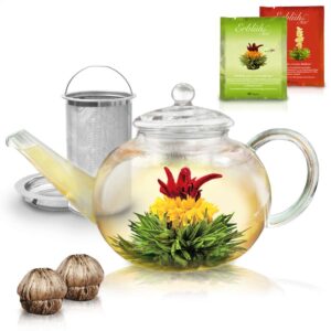Creano Teekanne aus Glas 1,2l, 3-Teilige Glasteekanne mit zwei Teekugeln ErblühTee Weißtee und Grüntee