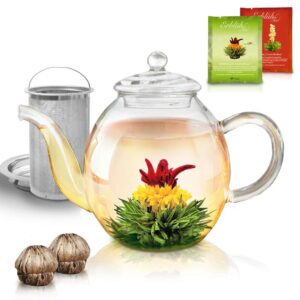 Creano Teekanne aus Glas 1,0l, 3-Teilige Glasteekanne mit zwei Teekugeln ErblühTee Weißtee/Grüntee